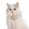 Lolita cat collar