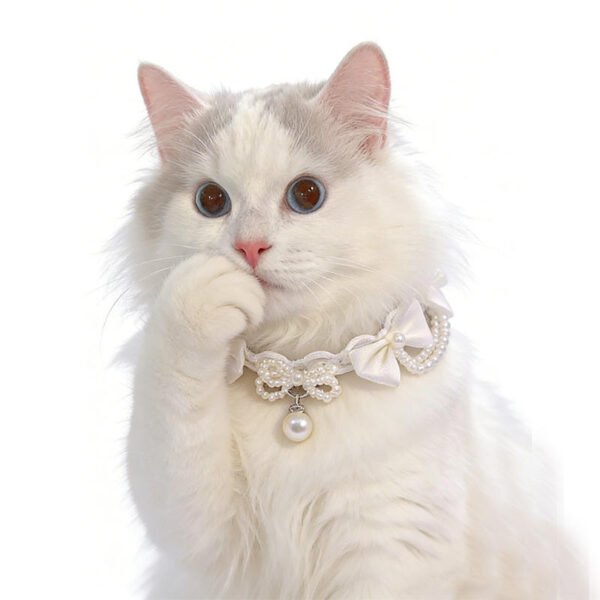 Lolita cat collar