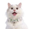 cute kitten collar