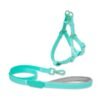 SKU_03_绿色 PVC Waterproof Dog Harness Set