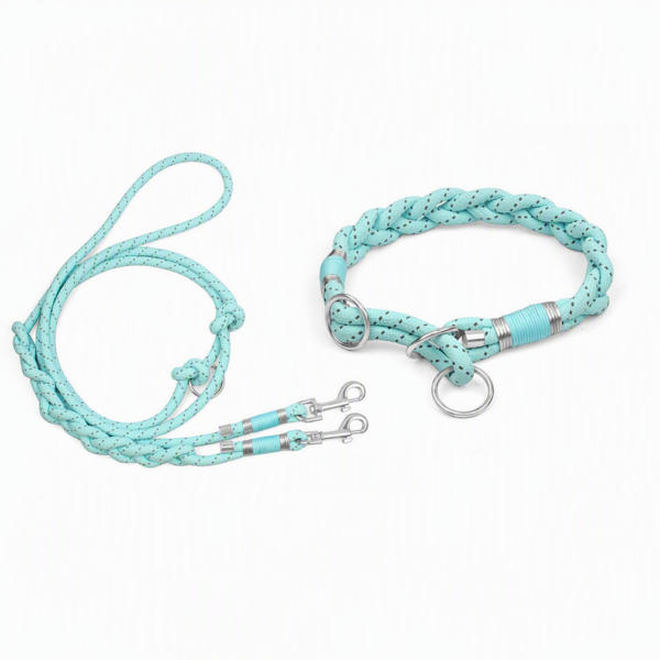 Braided Reflective Dog Leash & Collar Set