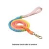 rainbow leash