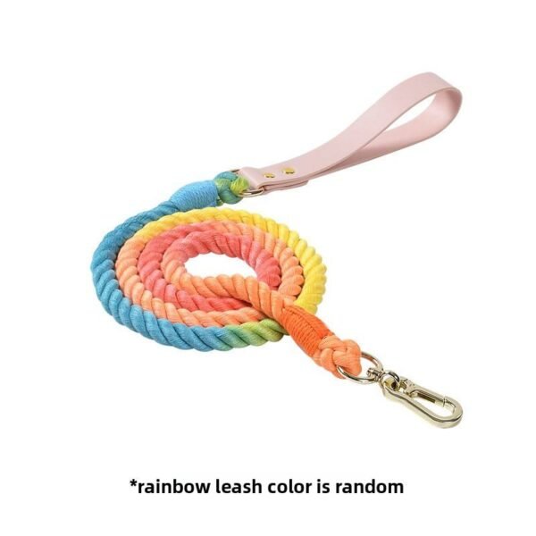 rainbow leash
