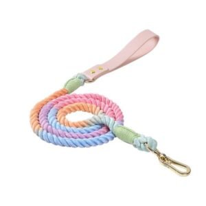 Braided Leather Dog Collar