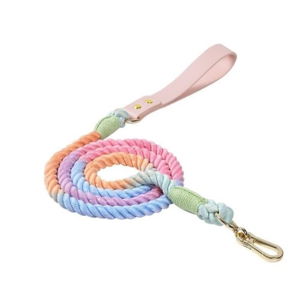 Braided Leather Dog Collar