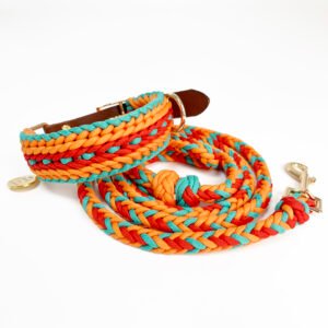 braided leather dog collar and leash set