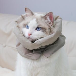 主图_01 soft cat collar