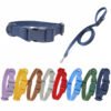 Waterproof PVC Dog Collar & Leash Set