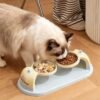 Double Bowl Neck-Protecting Pet Feeder