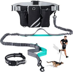 Hands-Free Dual Bungee Dog Leash