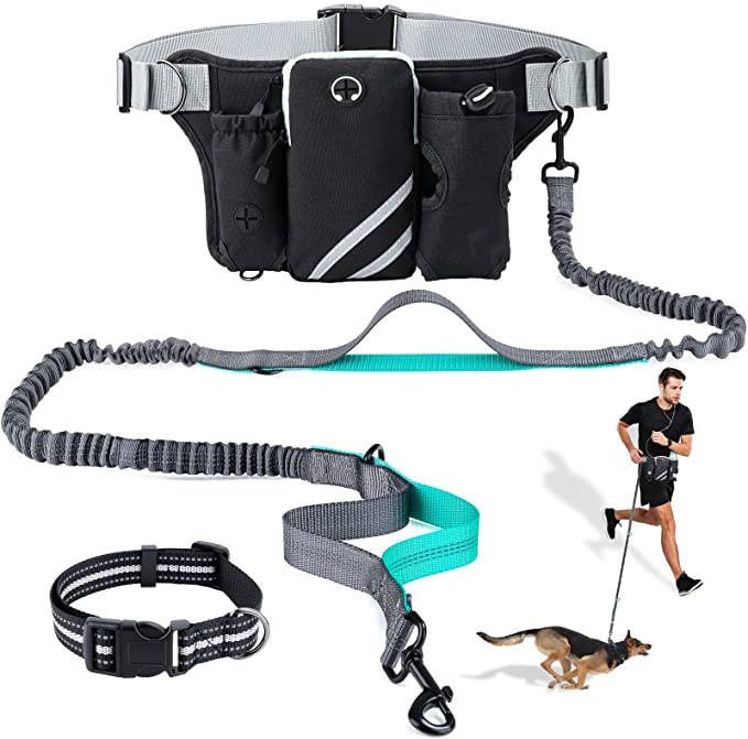 Hands-Free Dual Bungee Dog Leash