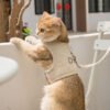 主图_01 Breathable No-Pull Pet Harness