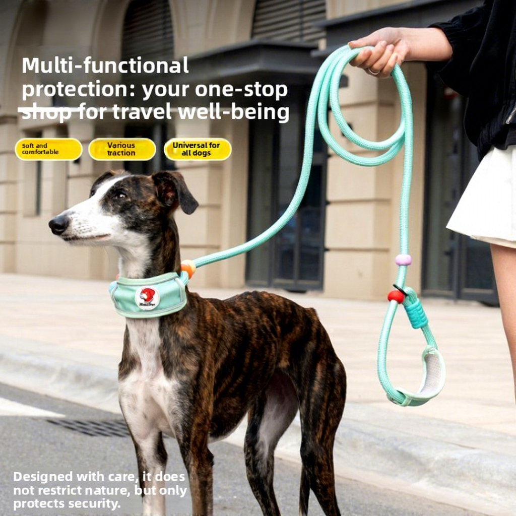 Heavy-Duty P-Shaped Dog Leash