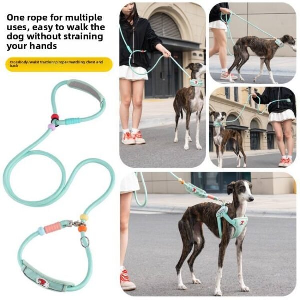TrailGuard™ Heavy-Duty P-Shaped Dog Leash