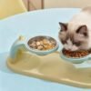 Double Bowl Neck-Protecting Pet Feeder