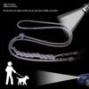 RopeCraft™ Braided Reflective Dog Leash & Collar Set