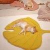 Extra Thick Dog Bed – Four-Season Large Pet Bed for Dogs & Cats
