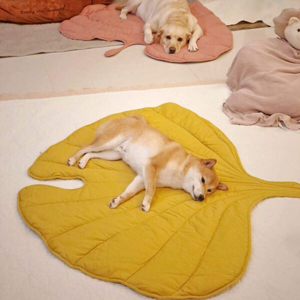 Extra Thick Dog Bed – Four-Season Large Pet Bed for Dogs & Cats