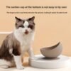 Silicone Slow Feeding Pet Bowl