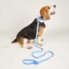 Waterproof PVC Dog Collar & Leash Set
