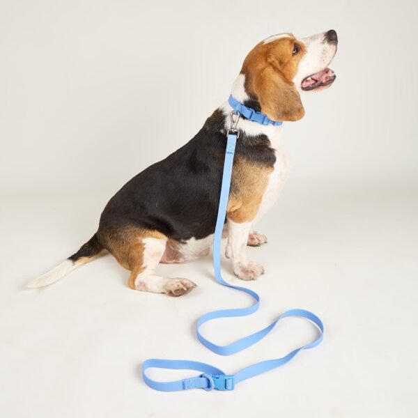 Waterproof PVC Dog Collar & Leash Set