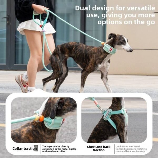 TrailGuard™ Heavy-Duty P-Shaped Dog Leash