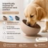 Silicone Slow Feeding Pet Bowl