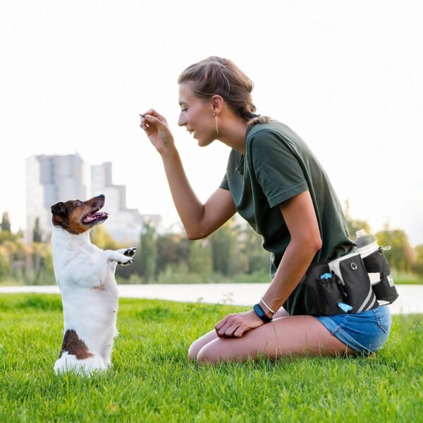 主图_04 FreeRun™ Hands-Free Bungee Dog Leash