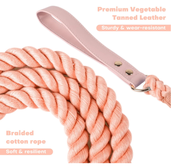 Braided Leather Dog Leash