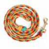 small dog collar and leash set
