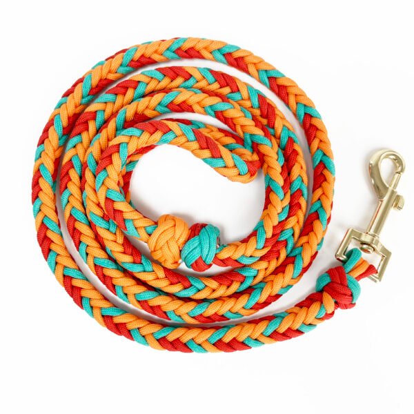 small dog collar and leash set