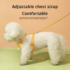 主图_05 floral dog harness