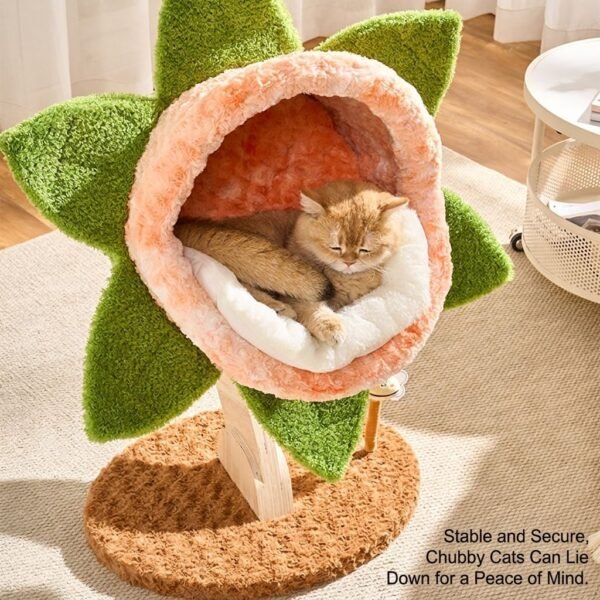 Indoor Cat Climbing & Activity Tower