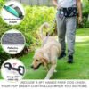 主图_05 Hands-Free Dual Bungee Dog Leash