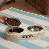 Foldable Anti-Knock Pet Bowl