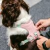 Waterproof No-Pull Dog Harness
