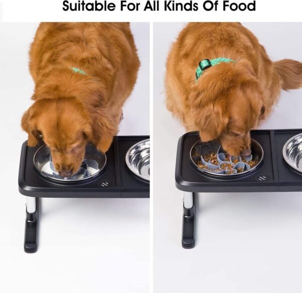 主图_06 Slow Feeder Dog Bowl – Firm Anti-Gulping Food Bowl for Dogs
