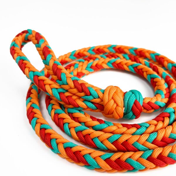 stylish dog walking set