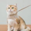 详情_01 escape proof puppy harness