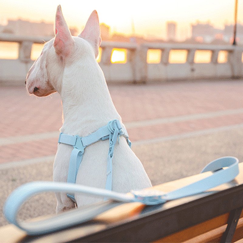 Waterproof Dog Harness Set