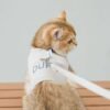 详情_04 adjustable pet harness