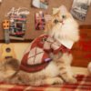 College-Style Winter Clothing for Cats and Dogs