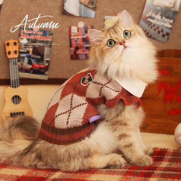 College-Style Winter Clothing for Cats and Dogs