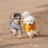 Waterproof Dog Rain Jacket