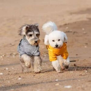 Waterproof Dog Rain Jacket