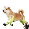Luxury Non-Slip Dog Shoes