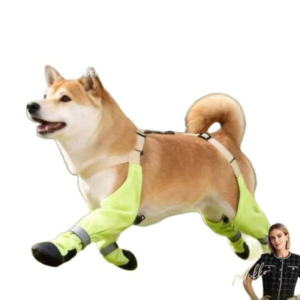 Luxury Non-Slip Dog Shoes