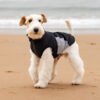 High-Collar Lightweight Dog Summer Vest