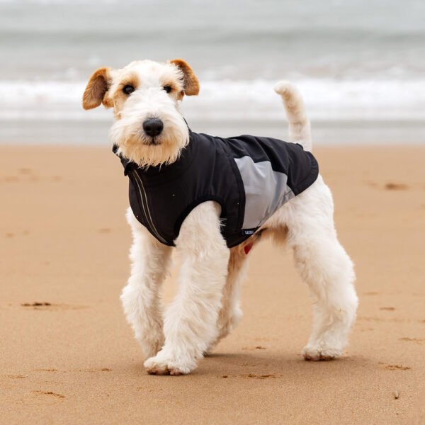 High-Collar Lightweight Dog Summer Vest