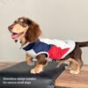 Color-Block Zipper Waterproof Breathable Dog Jacket